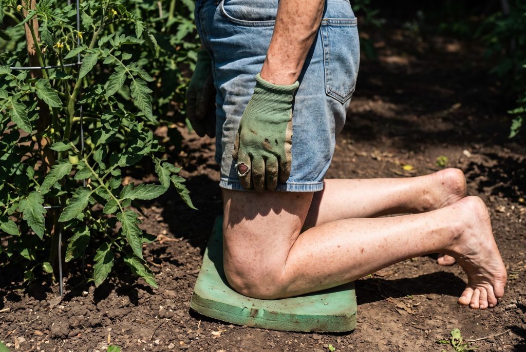 An older woman with freckled, sun-spotted legs kneels on a foam pad beside tomato plants