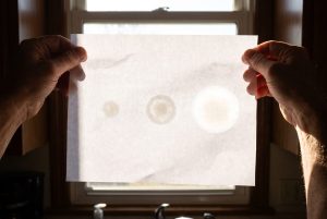 Hands hold white paper to a sunny window, three grease spots of increasing size glowing through it